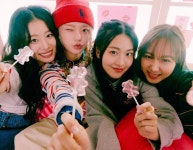 피프티피프티 사태 더기버스 안성일, 학력·이력 위조 인정