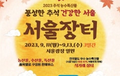 서울시, 추석 맞아 농수특산물 직거래장터 개최...최대 30% 할인