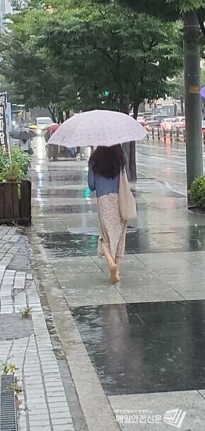 태풍 종다리에 의한 전국 강한 비 전망, 피해 확대 우려 증대