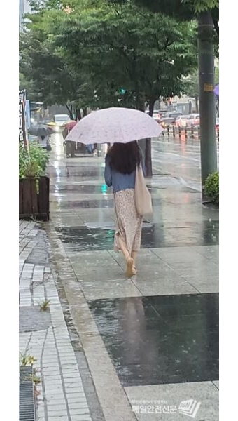 태풍 종다리에 의한 전국 강한 비 전망, 피해 확대 우려 증대