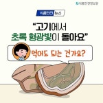 식품안전정보원, 초록 형광빛이 도는 고기에 대한 설명, 섭취 주의사항 안내