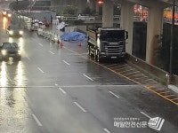 밤 사이 강원 지역 나무쓰러짐 등 비 피해 잇따라...인명피해없어
