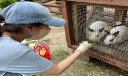 농진청, 반려견·농장동물 교감 치유 프로그램, 스트레스 완화·정서 안정 효과 입증