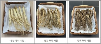 농진청, 동의보감’ 속 온성약초 정보 소개