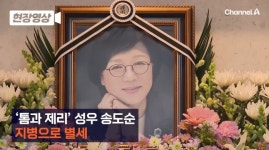 '톰과 제리' 송도순 성우, 지병으로 별세..국민적 사랑받은 '똑소리 아줌마'