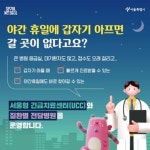 서울시, 설 연휴 24시간 비상의료체계 가동... 일 평균 병의원 1,220개소, 약국 1,436개소