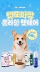 펫또마망, 네이버 쇼핑라이브서 온라인 펫페어 진행…할인 혜택 제공