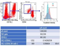 코스메카코리아, ㈜탑엔지니어링, ㈜엘앤케이바이오메드, ㈜헬릭스미스-㈜한국피엠지제약, 코스맥스㈜, ㈜ 다산네트웍스, 대한민국(농림