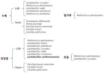 [특허 in 마켓] 한국 토종 효모와 천연유산균으로 발효하니 커피 맛도 좋아졌다…SPC, 무산소 발효 커피 개발 성공