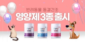 오요요, 안전한 고양이 영양제 오요요 헬스케어 출시