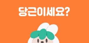 중고거래부터 알바까지… 당근마켓 적자 탈출 고민 깊어진다