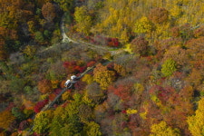 화담숲, 2022 가을 단풍축제 사전예약 진행
