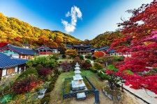 [일상여행] 전통시장부터 세계문화유산까지…쇼핑·관광을 한번에 끝내는 영주 行