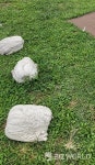 [르포] 인위적 작품 세계를 걷어낸 해태제과의 한강을 걷다
