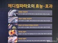 [현장에서] 전문성에 혁신을 더하다…바디프랜드, 의료기기 메디컬 파라오 선봬
