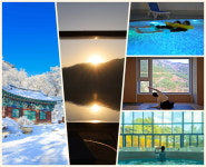 [일상여행] 병오년 새롭게 시작하는 1월, 트렌디한 리셋 여행