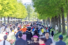 [순천소식] 순천만국가정원, 3일간 20만 명 방문… 봄꽃보다 빛난 사람꽃 축제로 흥행몰이 등