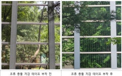 새들의 무덤 투명방음벽은 옛말…SH, 양재리본타워에 조류 충돌 방지 테이프 부착