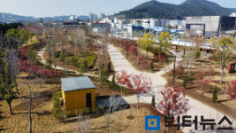 전남도립미술관 주변 ‘광양 도시바람길 숲’ 조성