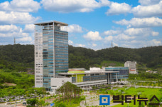 전남도, 호우피해 특별재난지역 지적 측량수수료 감면