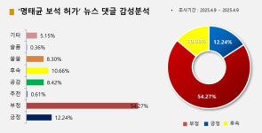 '명태균 보석 허가' 누리꾼들 