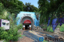 รูปภาพผลการค้นหา Naver 1