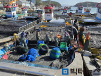 청우식품거금도수산 | 고흥 김 소비자 입맛 사로 잡았다