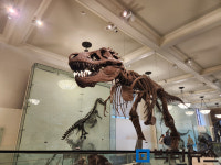 <한 번에 가는 미국 동·서부 여행> ② 눈이 호강하는 미술·박물관 투어