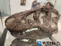 <한 번에 가는 미국 동·서부 여행> ② 눈이 호강하는 미술·박물관 투어