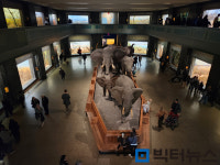 <한 번에 가는 미국 동·서부 여행> ② 눈이 호강하는 미술·박물관 투어