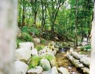 찍고, 마시고, 힐링! 다 같이 돌자 울산 한 바퀴