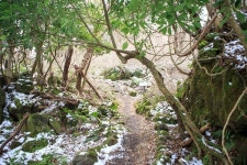 뿌리박물관에서 우리 가족 족보 찾아볼까? 3월 가볼만한 곳 6