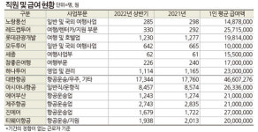 상장여행사‧항공사 반기 보고서 | 해외여행 수요 증가, 매출도 플러스…손실은 구제불능