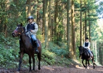 카름스테이｜사계절 담은 제주 마을 여행