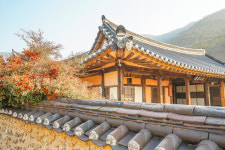 [Story] 과거와 현재를 만나는 대구여행, 대구 가볼 만한 곳 7