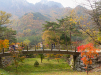 토성해외.국내여행사주 | 10만원대 해외패키지 쏟아지니 국내여행심리 '휘청'