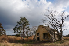 3분기 외국인 관광객 2배…내국인도 호조세 이어가는 제주도
