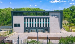 국내 최대 반려견 테마파크 강아지숲, 춘천의 새로운 명소로 인기