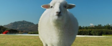 영화속세계 경제위기 역사(8)그때 그들㊦권력의 종언?