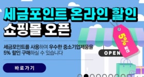 세금 포인트로 싸게 살 수 있는 쇼핑몰 생겼다