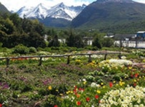 ◇김수종의 취재여록⑰남과 달랐던 민들레꽃의 길