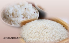 1인당 하루 쌀 소비량 밥 한공기 반