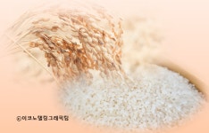 쌀 한가마 20만원 되도록 올 생산 감축