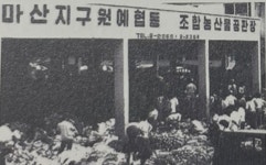 [농협 60년사] (62) 원예작물 수요 늘면서 품목농협 급성장