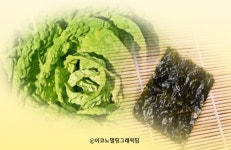 오늘부터 양배추·배추 등 할당관세