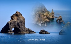 [김용태 트렌드 트레킹] (112) 독도 브랜드 어때요