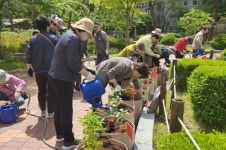 용인특례시, 도심경로당에 실버텃밭 조성