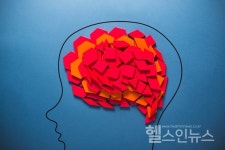 뇌신경세포 신호전달 규명으로 뇌질환 치료 실마리 제공