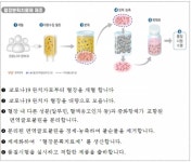 국내 개발 코로나19 혈장분획치료제 2상 임상 승인