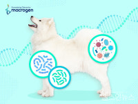 마크로젠-꼬리-엠제이바이오젠,  반려견 장내미생물 빅데이터 구축 통해  맞춤형 펫 헬스케어 선도